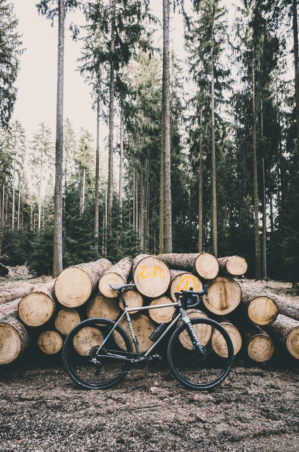 vélo de route gris s’appuyant sur des troncs d’arbres