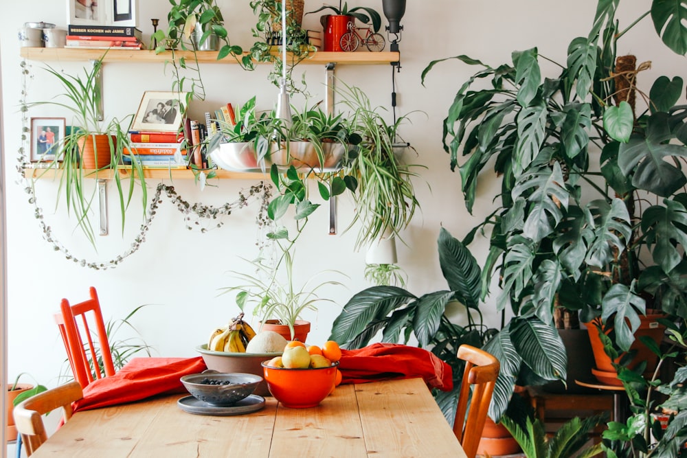 fruits in bowls on table near green leaf plant