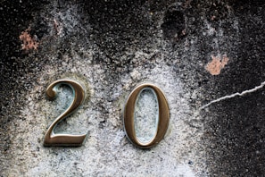 20 number emblem
