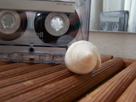A close-up image featuring a vintage audio cassette tape and a white spiral shell resting on a wooden surface. The cassette is in a clear plastic case, revealing its inner workings, while a second cassette can be seen reflected in a mirror in the background.