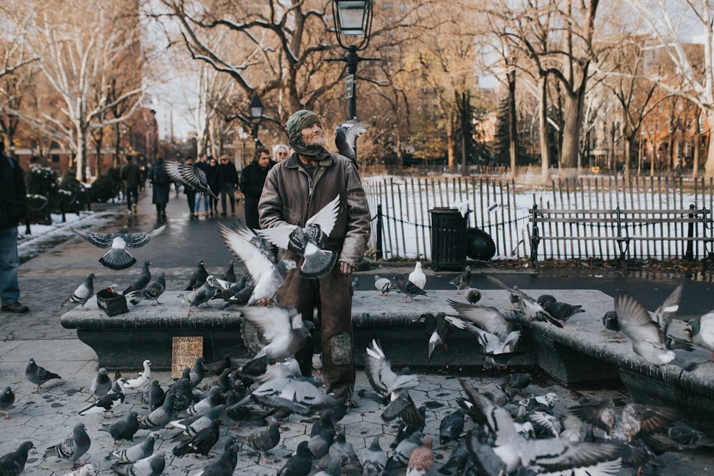 man standing surrounded by rock doves near river and trees