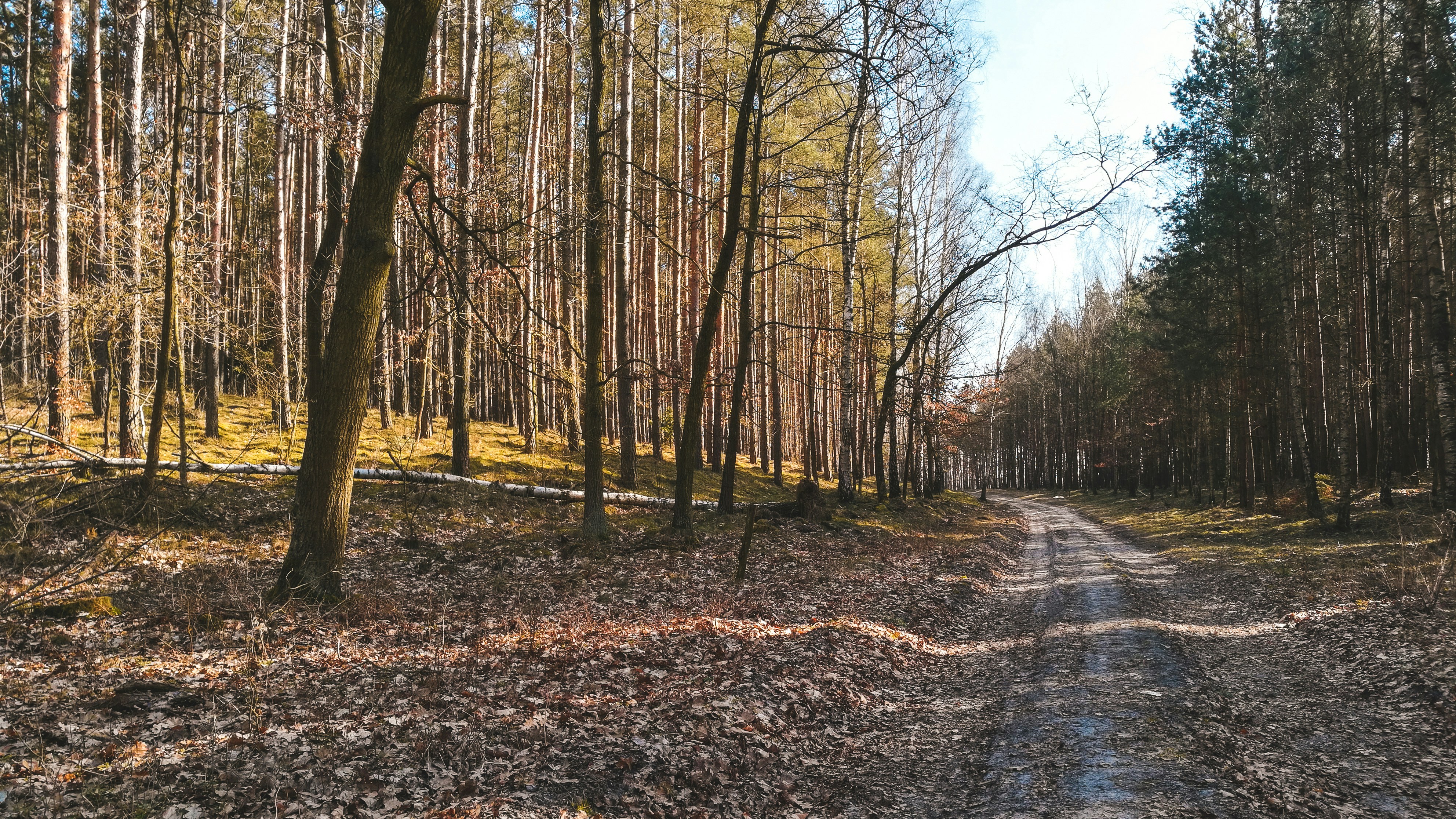 Photo by _marcinkempa_