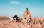 man and camel lying on ground
