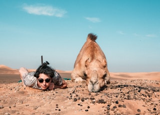 man and camel lying on ground