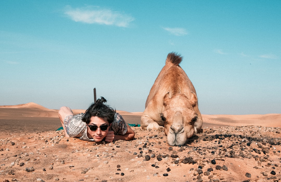 man and camel lying on ground,