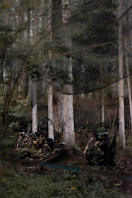 A group of people in camouflage gear and protective masks are engaged in a paintball game in a forested area. The surroundings are dense with tall trees and undergrowth, creating a natural environment suitable for the game.