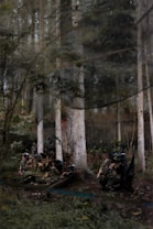 A group of people in camouflage gear and protective masks are engaged in a paintball game in a forested area. The surroundings are dense with tall trees and undergrowth, creating a natural environment suitable for the game.
