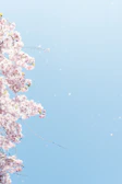 An action scene of Millie leaping through falling cherry petals, her silhouette sharp against the sky.