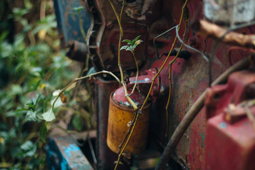A detailed close-up of rusted mining equipment abandoned in a lush Goan forest, sunlight filtering through the trees.