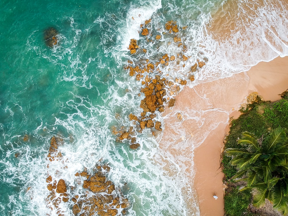 aerial shot of seashore