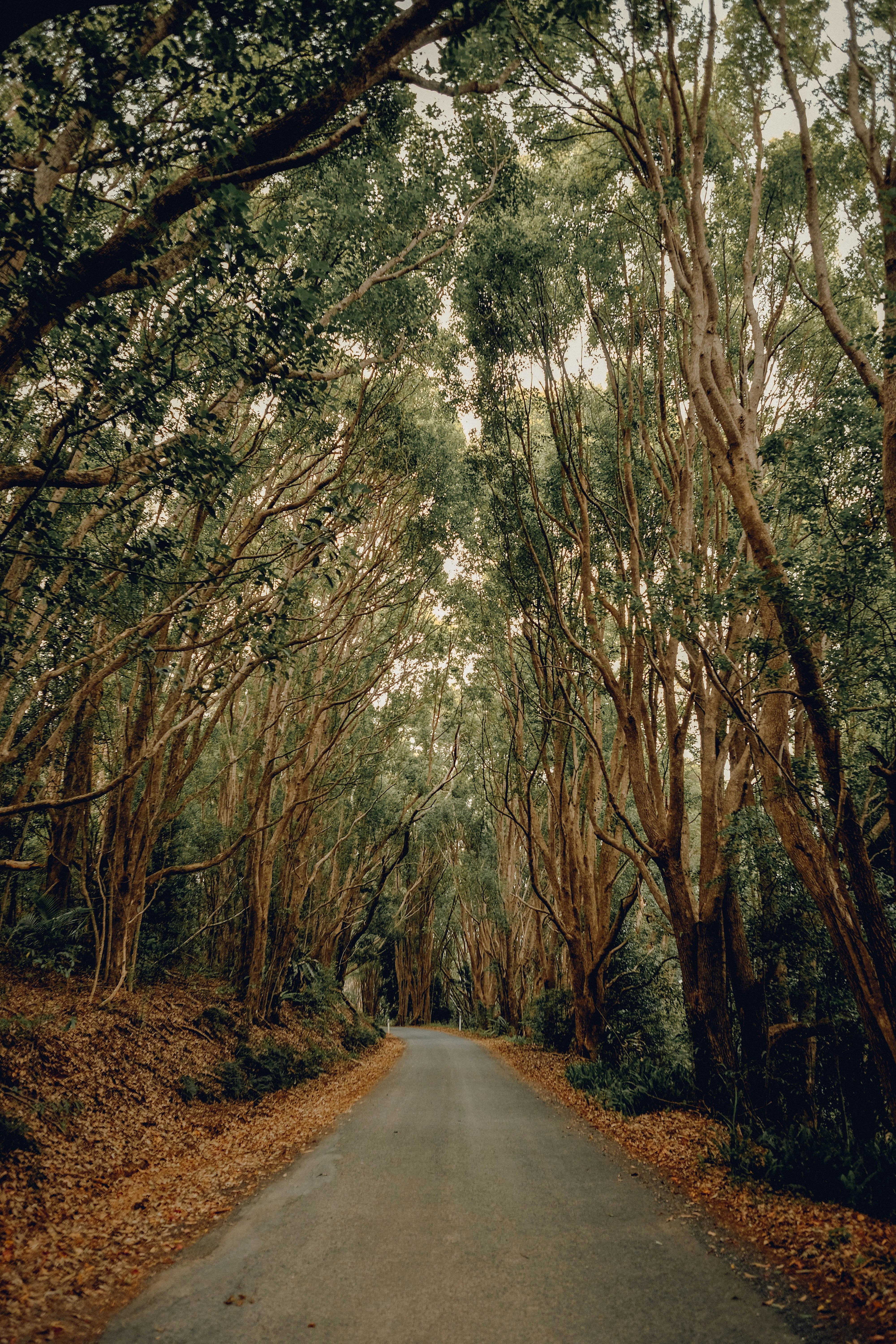 Wallpaper, desktop wallpapers, hd wallpapers and hd backgrounds HD photo by Jon Flobrant 