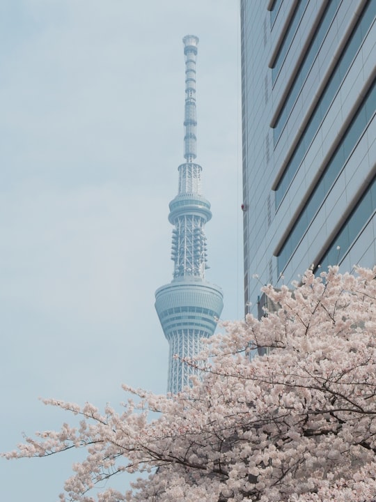 concrete building under white cloud in Sensō-ji Japan