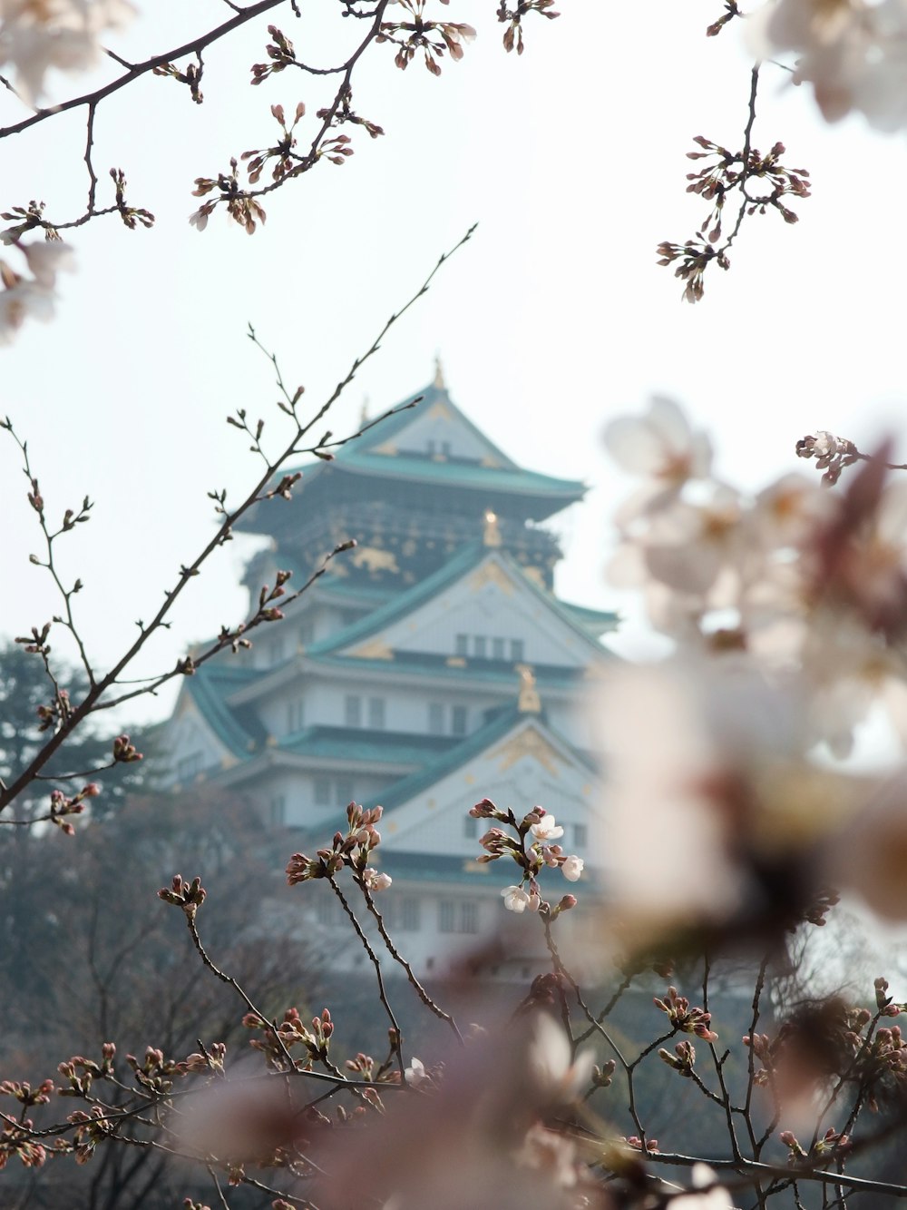 a view of a building through the branches of a tree