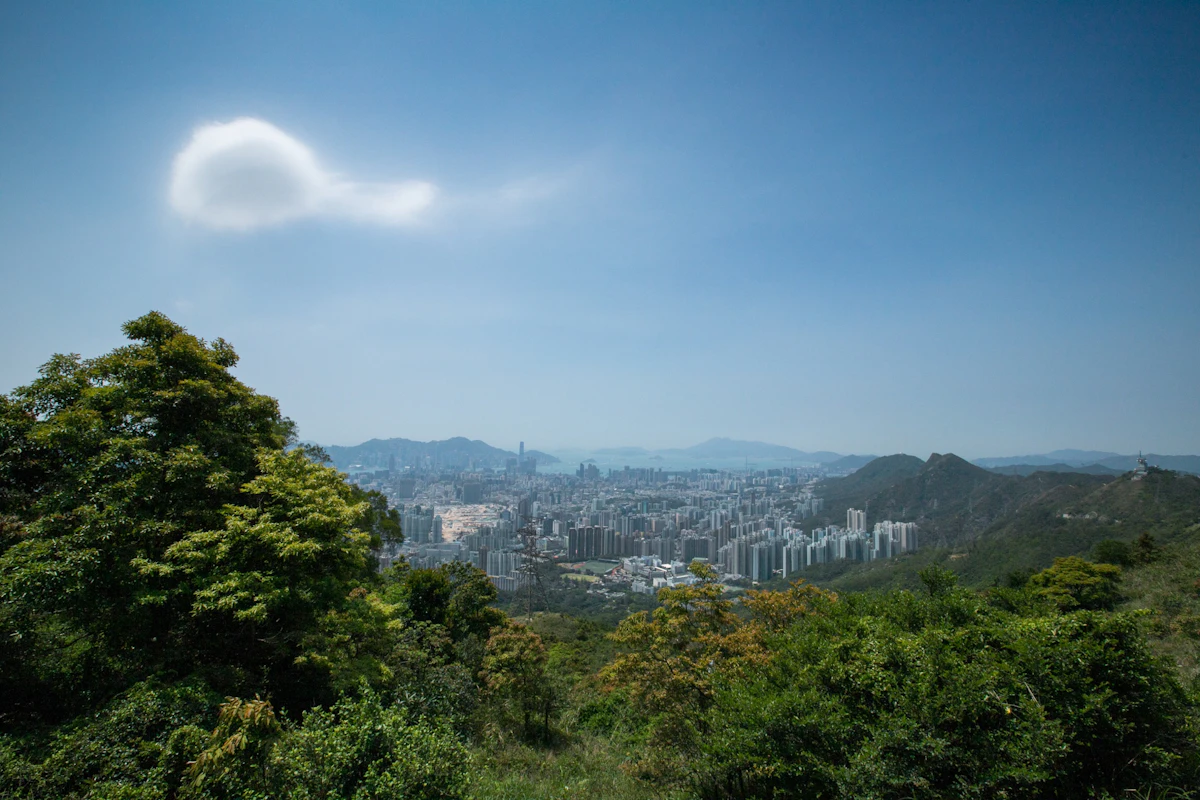 Shaded forest trail in Hong Kong country park — the best type of trail for summer hiking Hong Kong