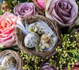 quail eggs on brown nest with flowers