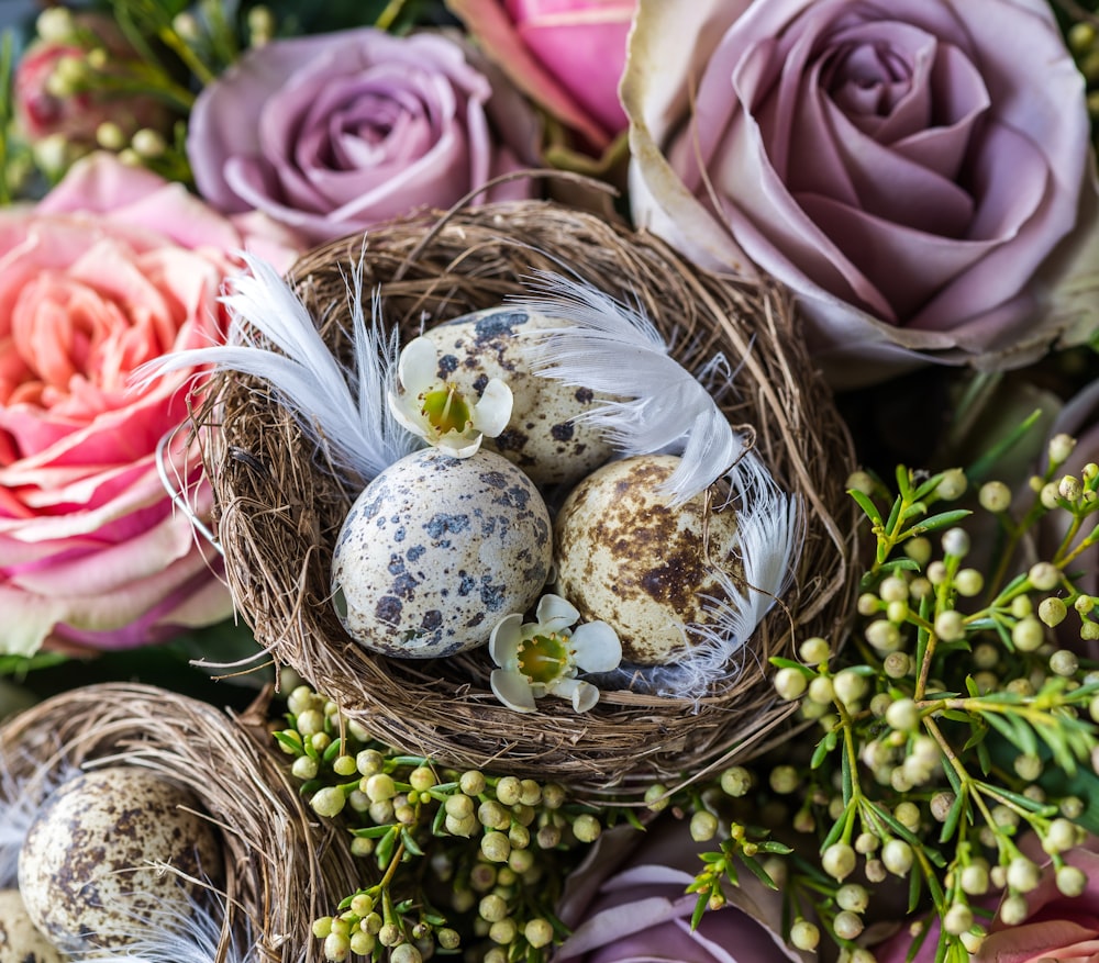 quail eggs on brown nest with flowers
