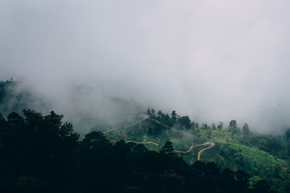 green mountain with trees and smoke