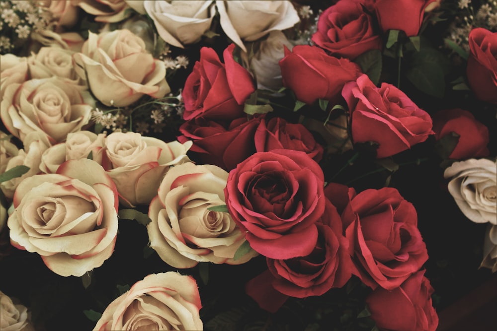 assorted-color roses arangement