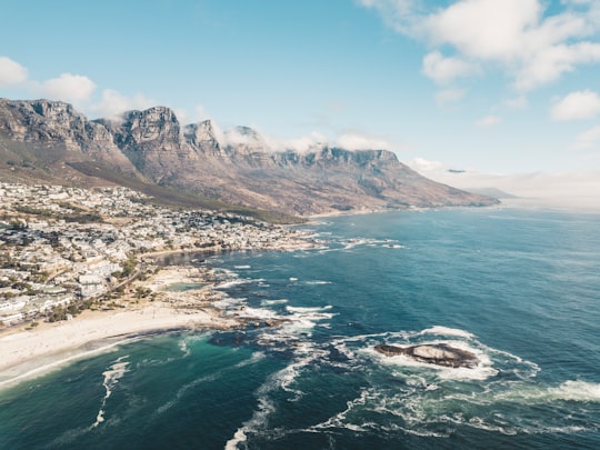 aerial view photography of seashore in Table Mountain National Park South Africa