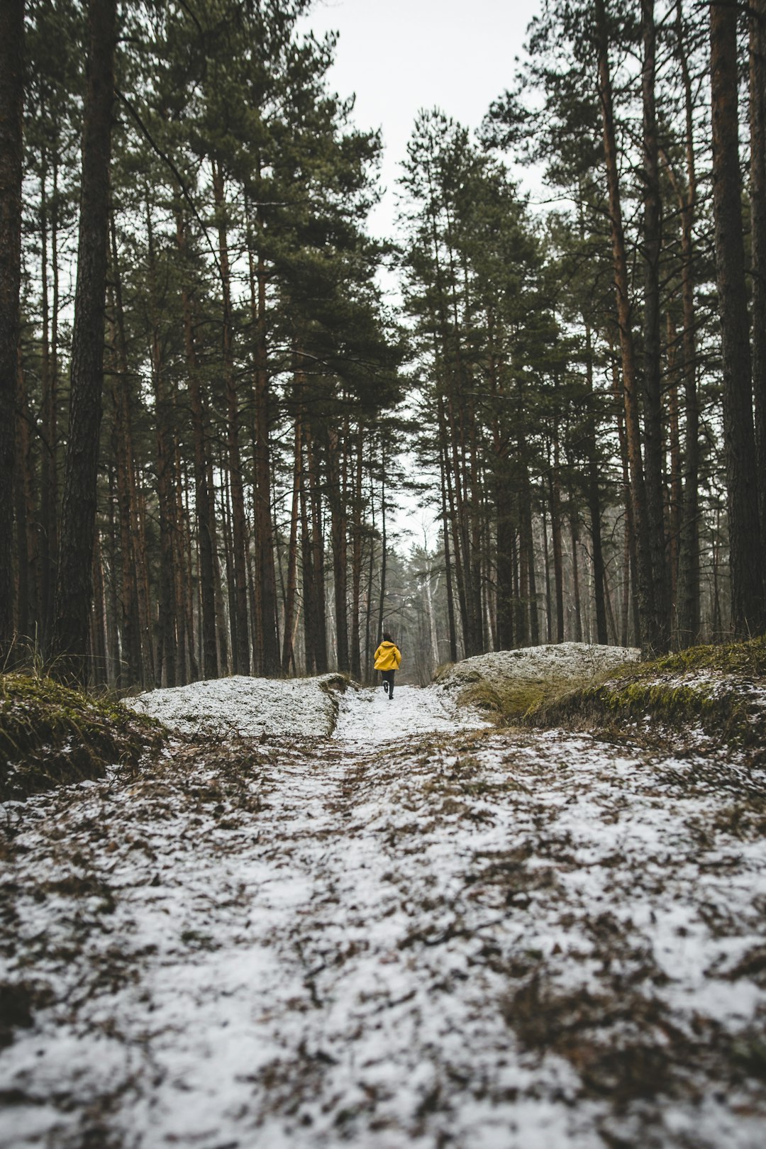 Natural landscape photo spot Vakarbuļļi Latvia