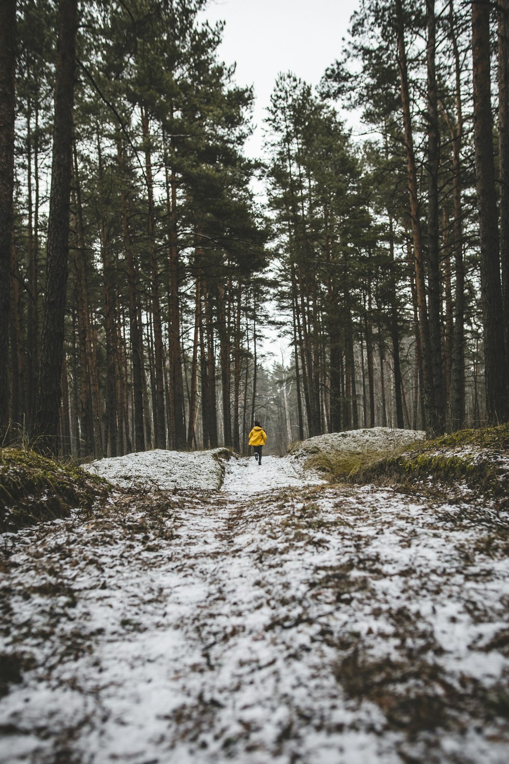 Person in gelber Jacke läuft auf Wald