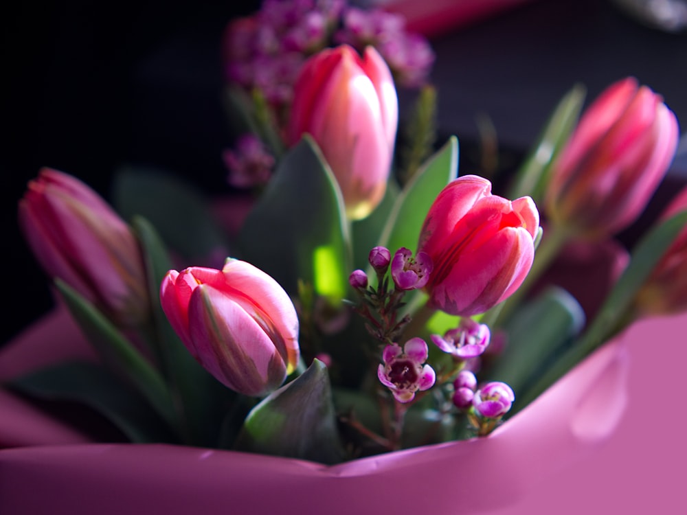 foto em close-up de flores cor-de-rosa