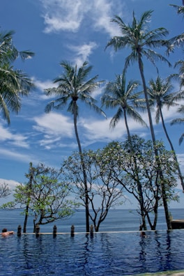 Private infinity pool reflecting palm trees and a clear blue Florida sky.