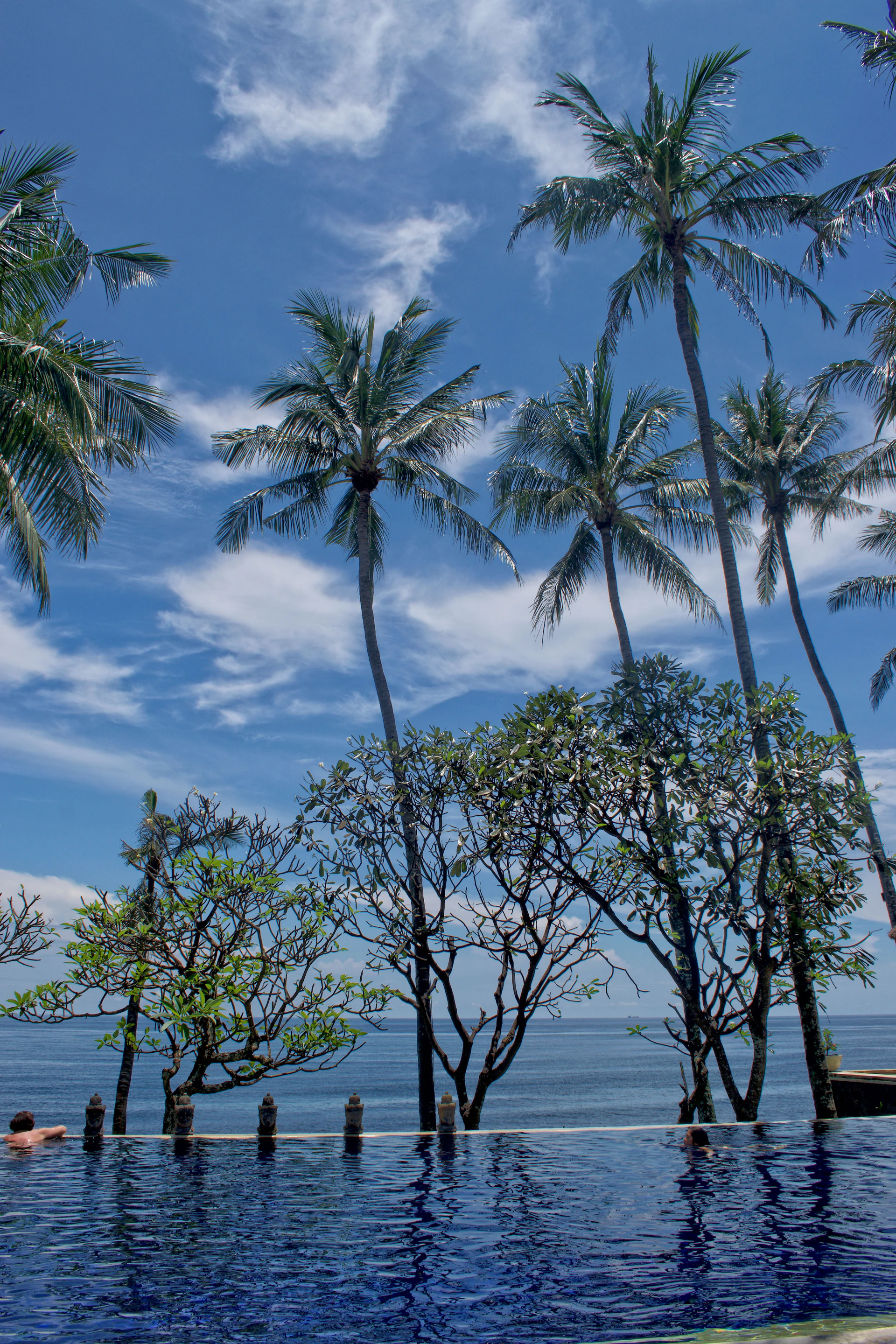 The villa's sparkling infinity pool reflecting the clear blue sky, framed by palm trees.