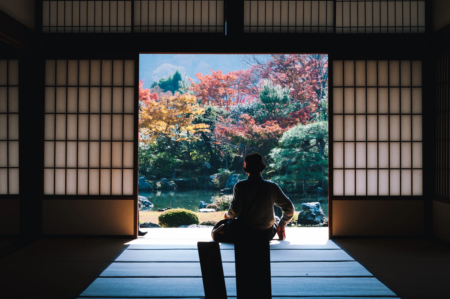 A figure sitting in a Japanese doorway, looking out over an autumn garden