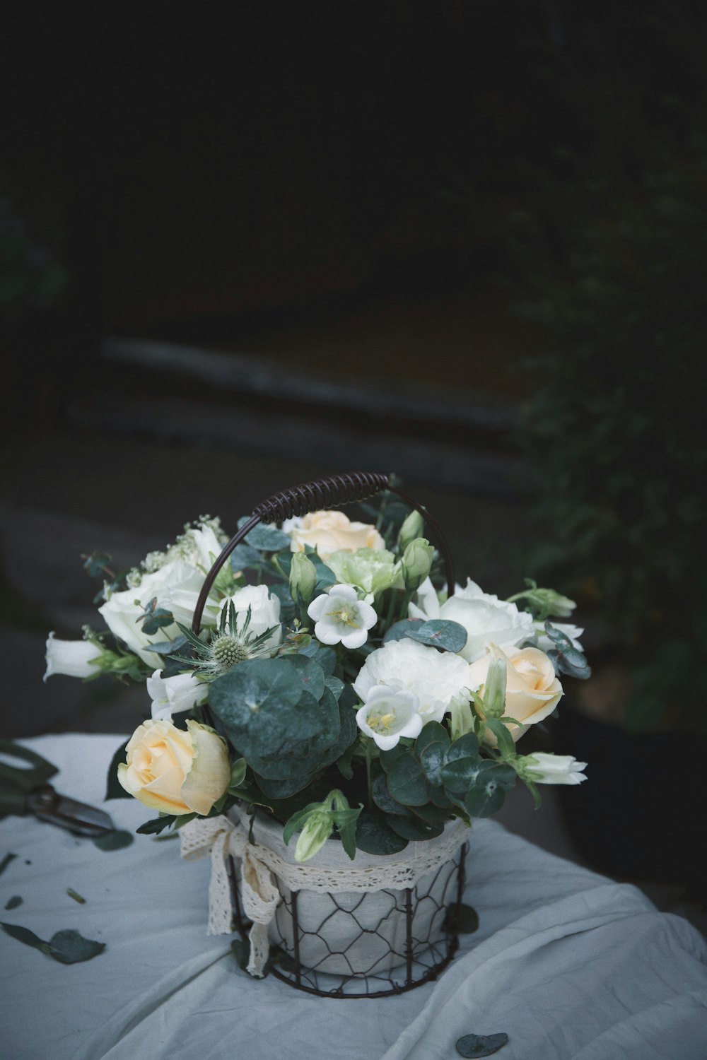 white and beige petaled flower