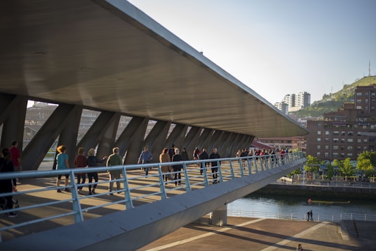 Image of a sleek pedestrian bridge spanning a small river with people walking and biking.