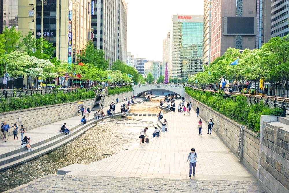 people walking on sidewalk near high rise buildings during daytime