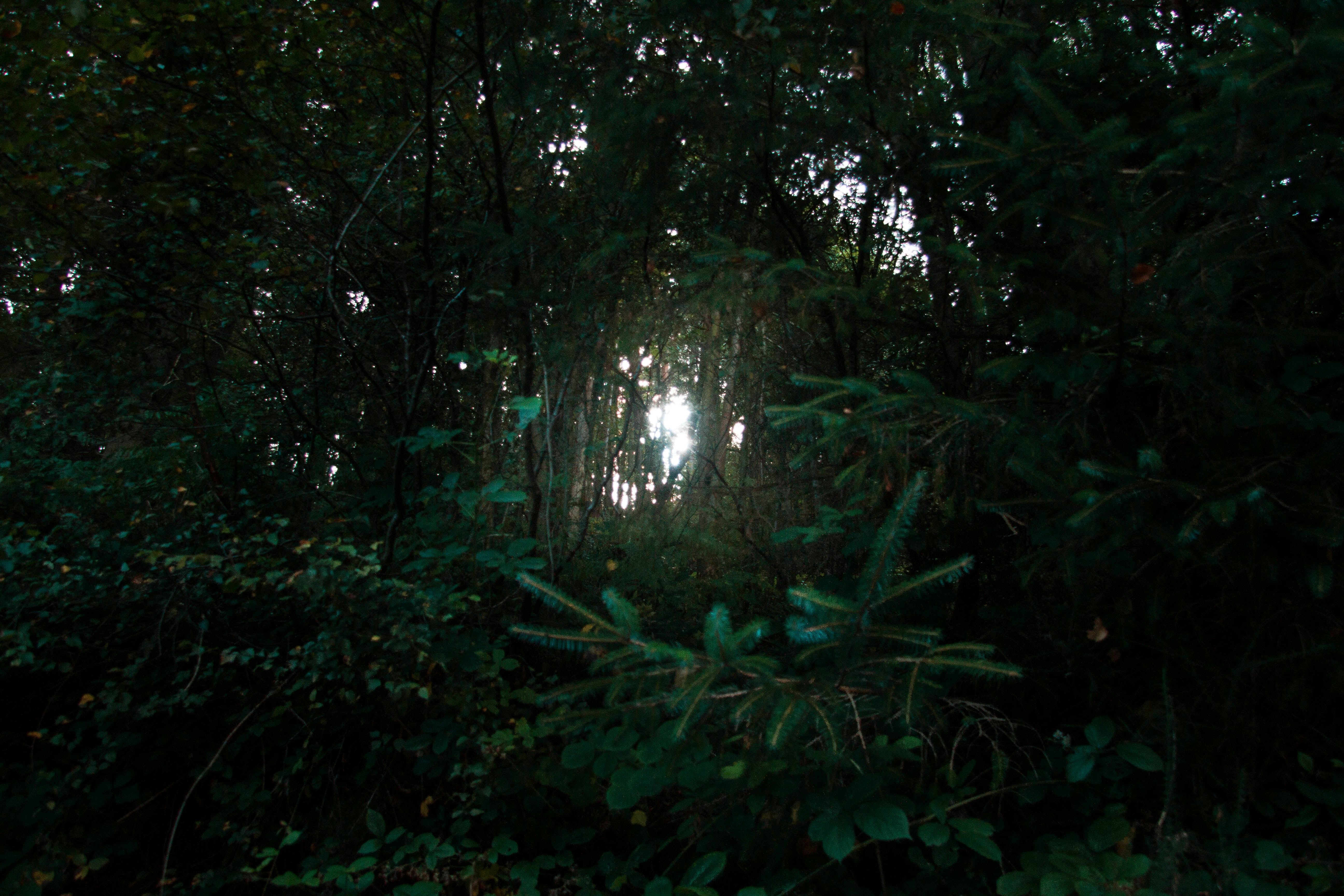 Photo by matt__feeney