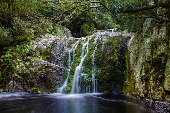 Harold Porter National Botanical Garden things to do in Betty's Bay