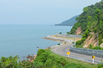 Winding roads and lush greenery along the Garden Route coastline.