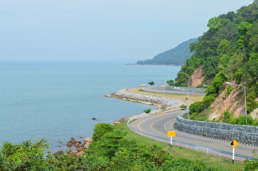 A winding coastal road framed by lush greenery and the deep blue ocean on a sunny day.