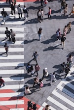 aerial photography of people crossing pedestrian lane
