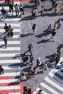 aerial photography of people crossing pedestrian lane