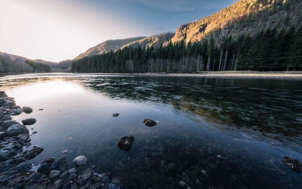 river between forest and mountain