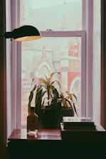 A cozy scene with several sturdy, elegant plant pots arranged on a wooden shelf near a sunlit window.
