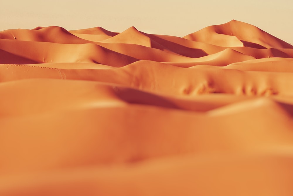 landscape photo of sand