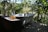 A vintage-style white bathtub is placed outdoors amidst lush greenery. The setting is peaceful and natural with sunlight filtering through the leaves. Two glass bottles with pump dispensers, one containing a yellowish liquid and the other a clear amber liquid, sit on a concrete ledge nearby.