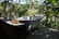 A vintage-style white bathtub is placed outdoors amidst lush greenery. The setting is peaceful and natural with sunlight filtering through the leaves. Two glass bottles with pump dispensers, one containing a yellowish liquid and the other a clear amber liquid, sit on a concrete ledge nearby.