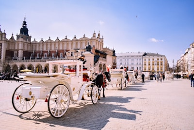 black horses poland teams background