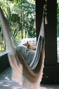 Hammock Seat Cover