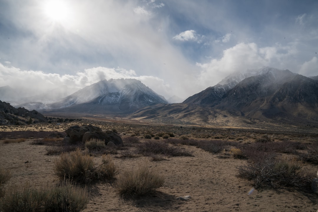 Desert Photography