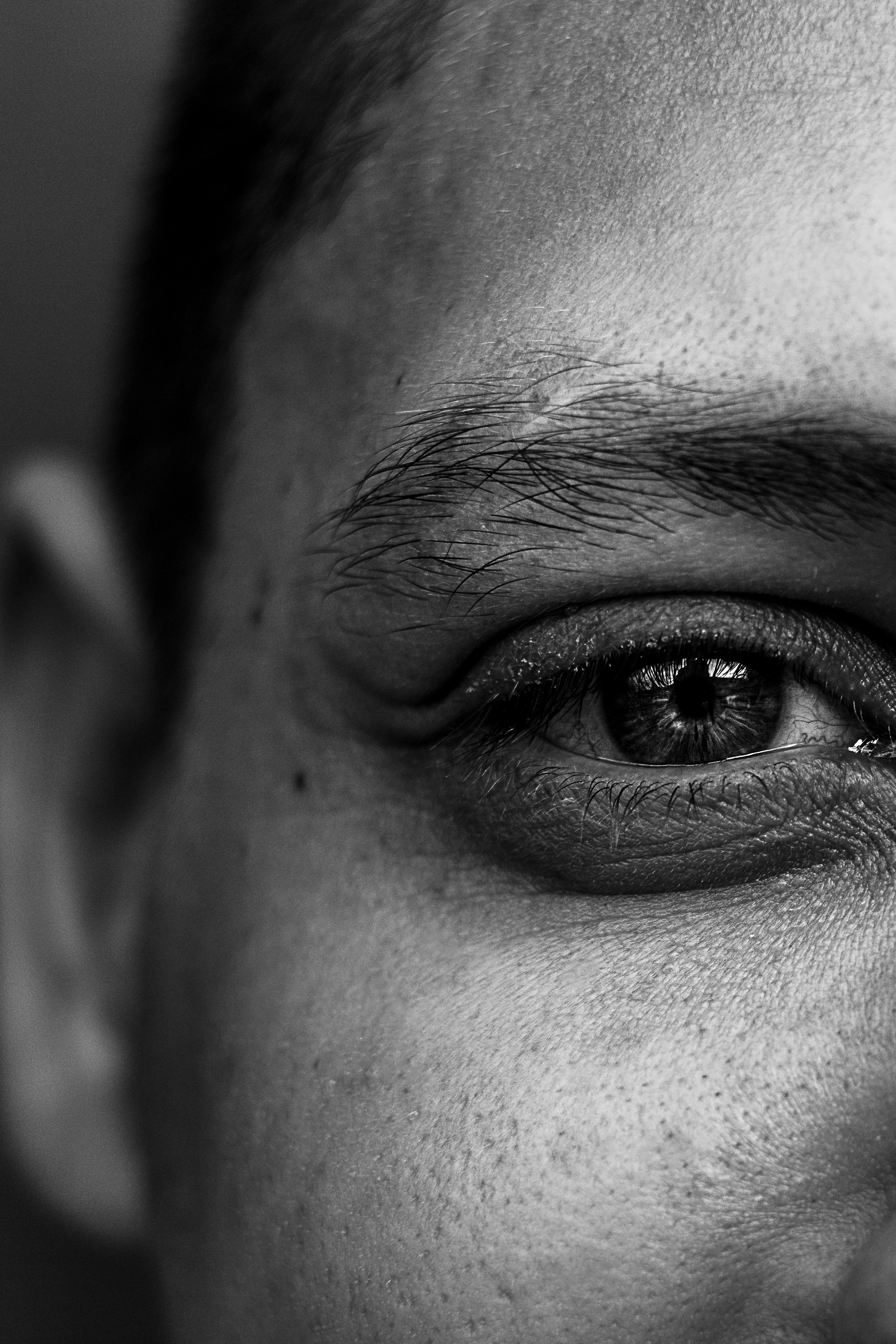 Productos para delinear cejas