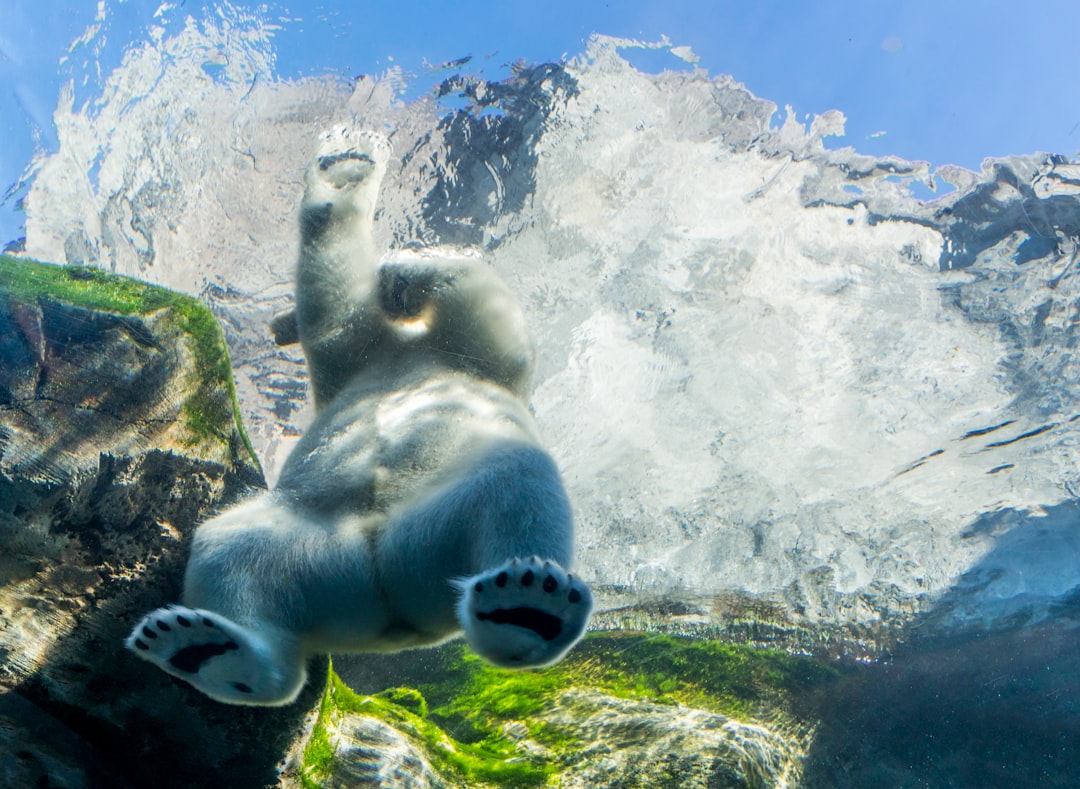 Extreme sport photo spot Assiniboine Park Zoo Canada