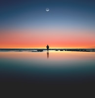 silhouette of man standing on seashore