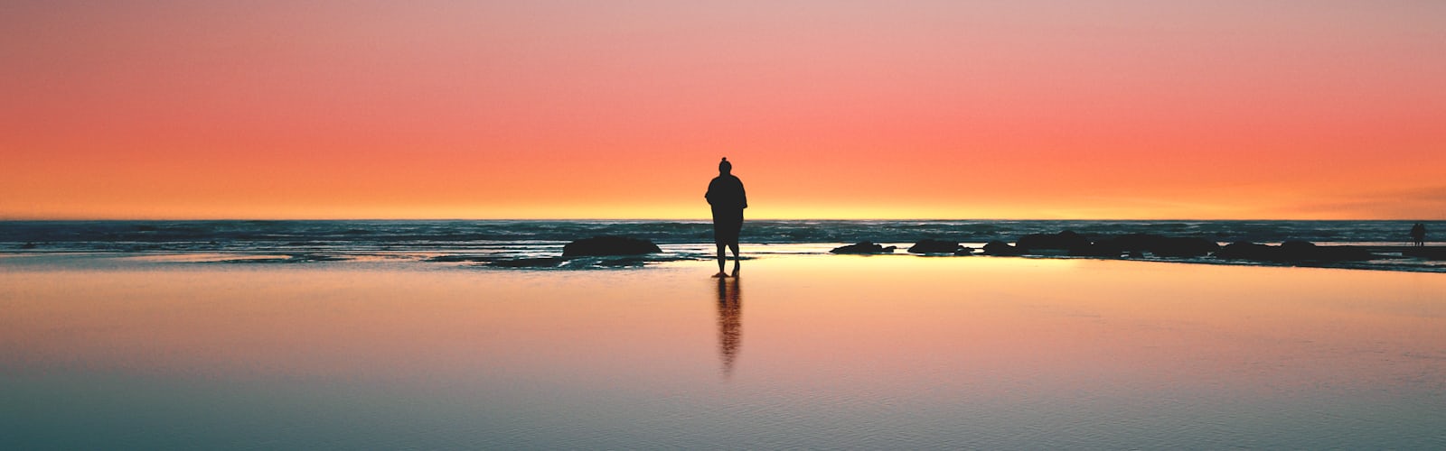 Gary images | 16 best free outdoor, wallpaper, plant and green photos